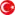 Türkçe